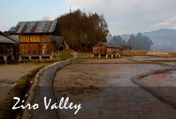 Ziro valley travel