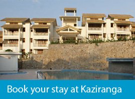 hotels at Kaziranga