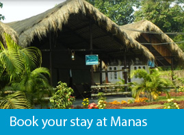 Manas national park accommodation