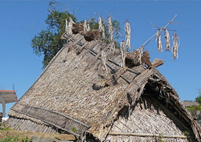Longkhum Village hut