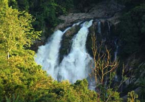 Rongbang Dare Waterfall Tura