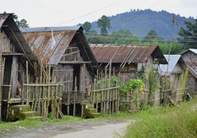 Aptani tribal village Ziro
