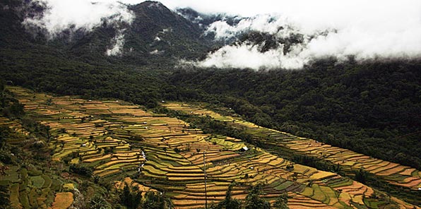 Nagaland travel