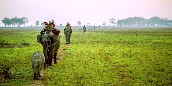 Things to do in assam