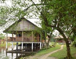 Yggdrasill Bamboo Cottage, Resorts in majuli