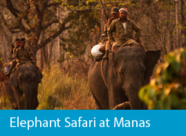 Elephant safari at Manas