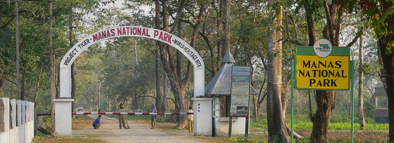 Manas National Park Package