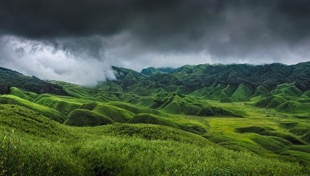 Dzukou Valley