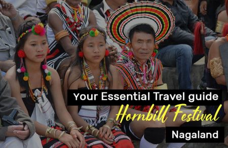 hornbill festival travel guide