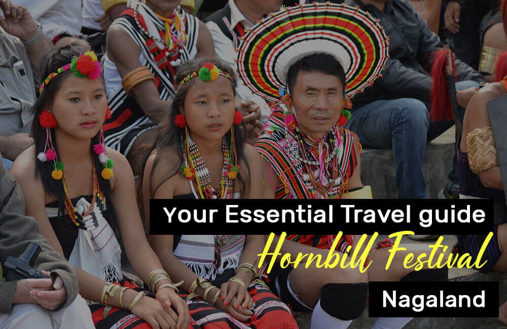 hornbill festival travel guide