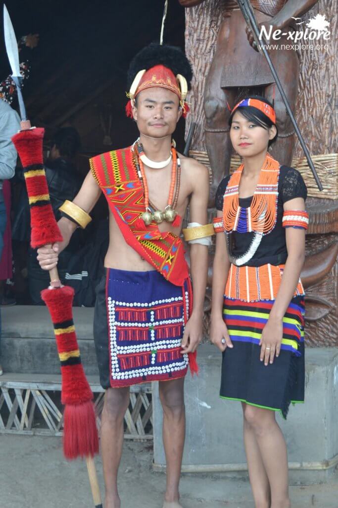 A guide to Hornbill Festival Nagaland - Nexplore Travel