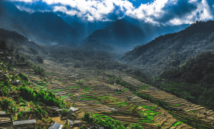 Khonoma Green Village: a magical village in Nagaland, India