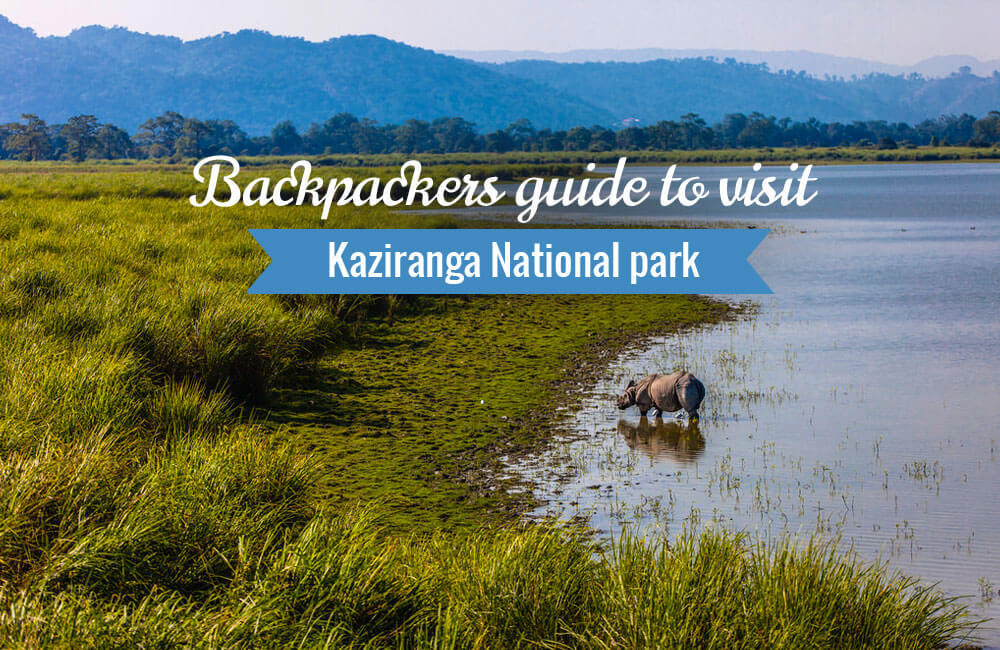 Backpackers Guide to Kaziranga National Park
