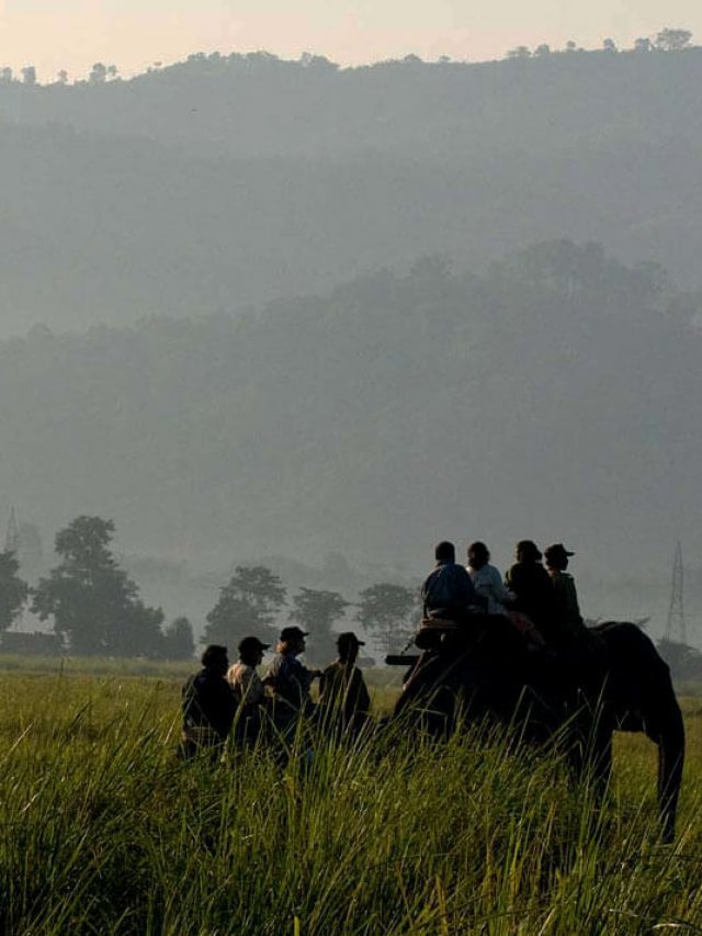 Holiday in Kaziranga National Park