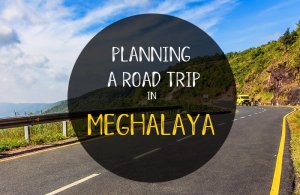 Road trip in Meghalaya: how to plan your best vacation