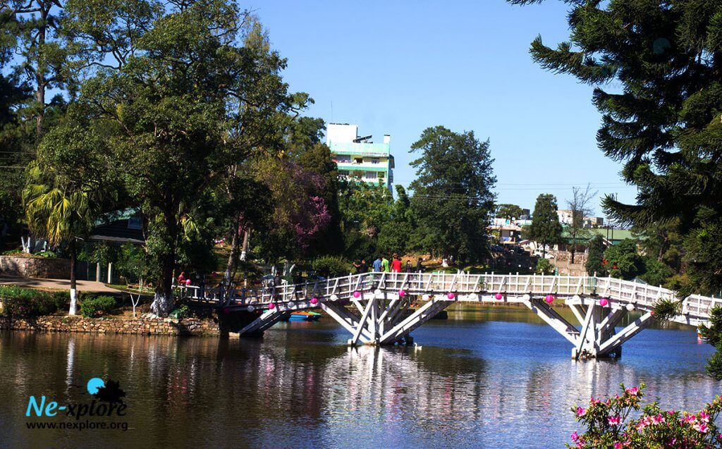 wards lake