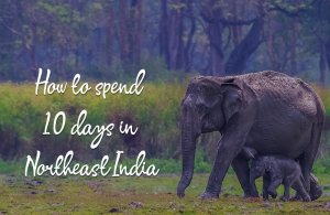 How to spend 10 days in Northeast India