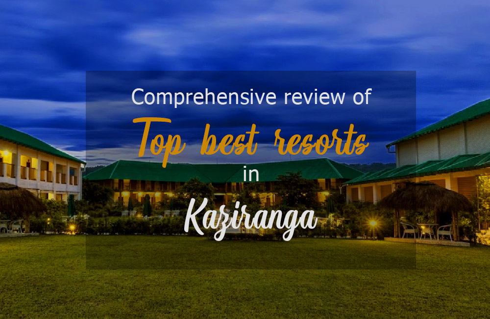 Comprehensive-review-of-top-best-resorts-in-Kaziranga