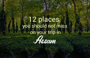 top places to visit in Assam
