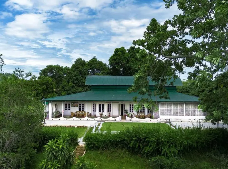 Diffloo Tea Bungalow