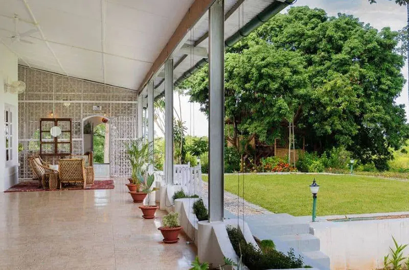 Diffloo tea Bungalow