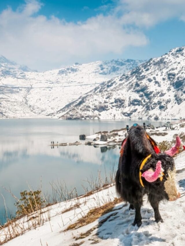 Top destinations for honeymoon in Northeast India
