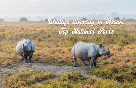 national parks in assam