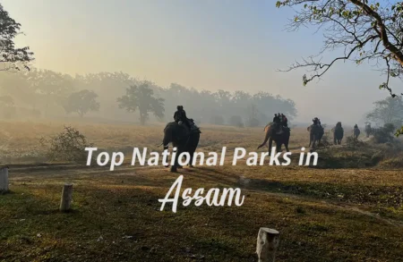 top national parks in assam