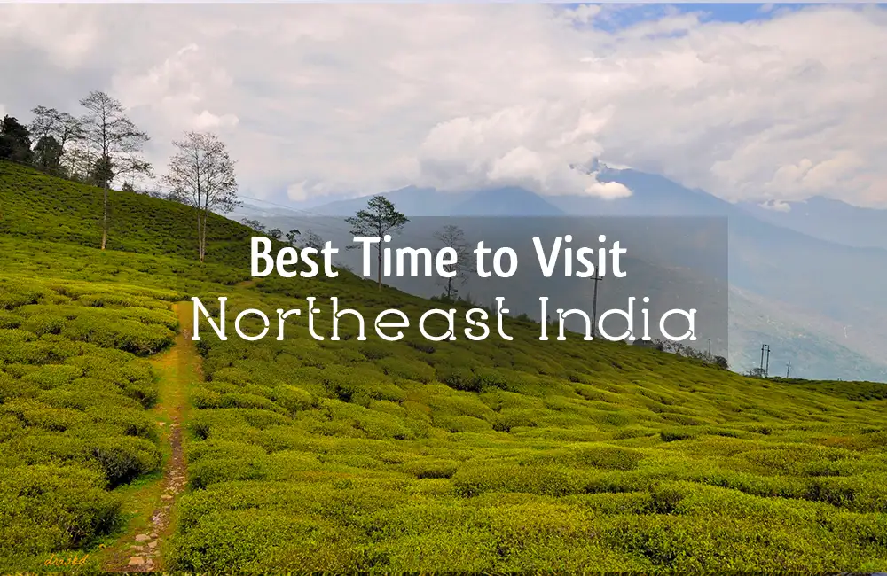 Best Time to Visit Northeast India