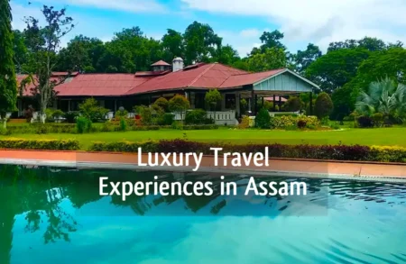 Luxury travel experience in Assam