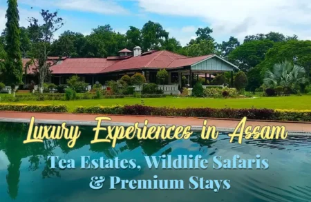 Luxury experiences in Assam