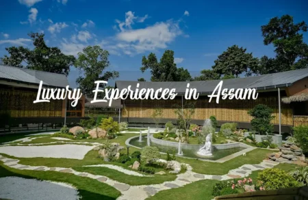 luxury experiences in assam