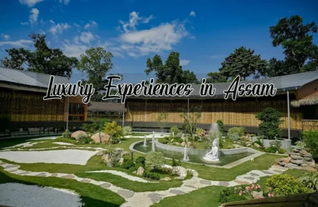 luxury experiences in assam