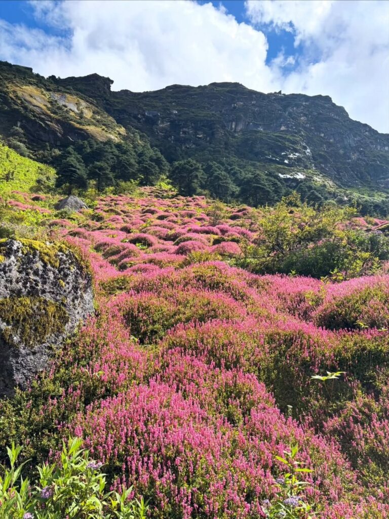 Sela Pass in monsoon