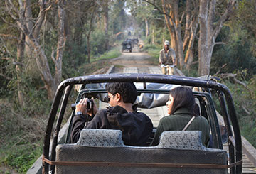 Jeep Safari Kaziranga National Park