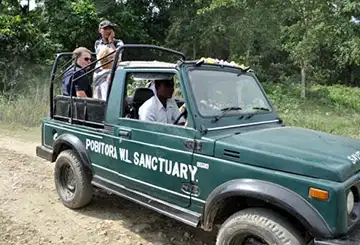 book Jeep Safari at Pobitora