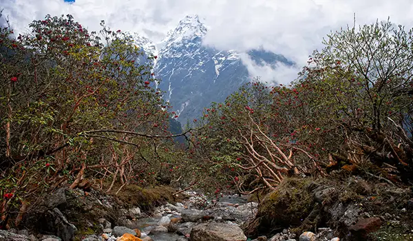 North Sikkim