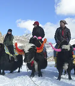 Sikkim tour with our guests
