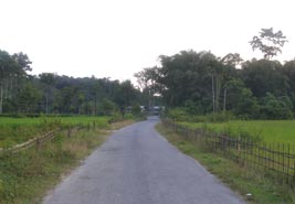 village Tour Kaziranga