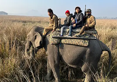 kaziranga tour package