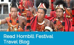 Read hornbill festival blog