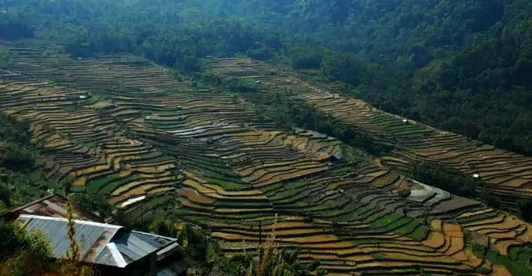 Khonoma green village, nagaland tourism packages