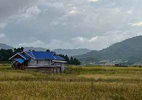 Ziro valley trip package