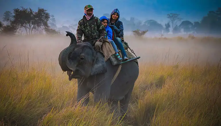 Kaziranga wildlife safari