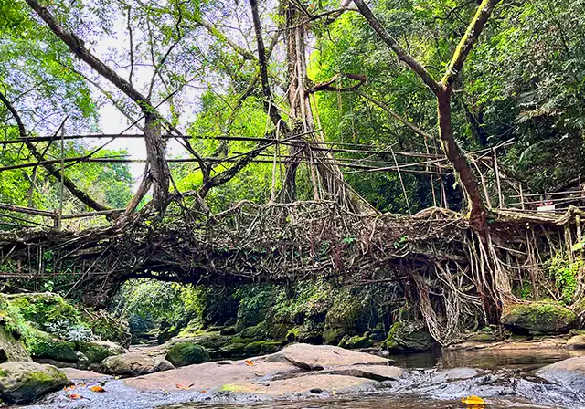 Assam Meghalaya tour package 10 days