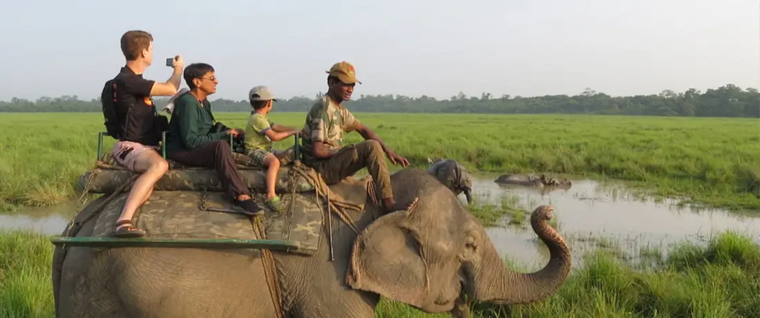 Kaziranga National Park | Holiday in Northeast India