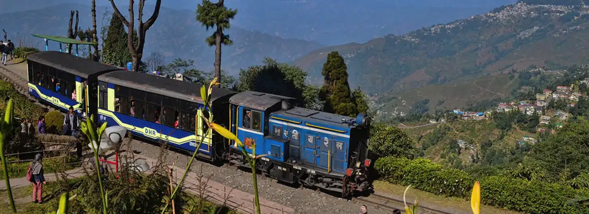 Darjeeling honeymoon tour package