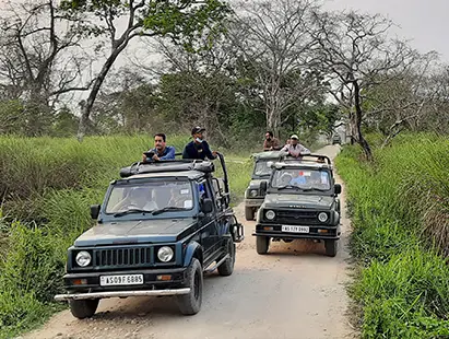 Elephant Safari