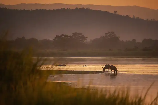 Kaziranga Shillong Guwahati Tour