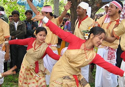 wildlife, cultural and tea tour in Assam